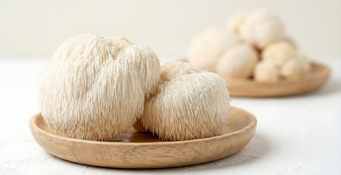 ll’Hericium