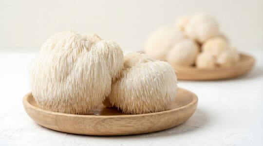 ll’Hericium